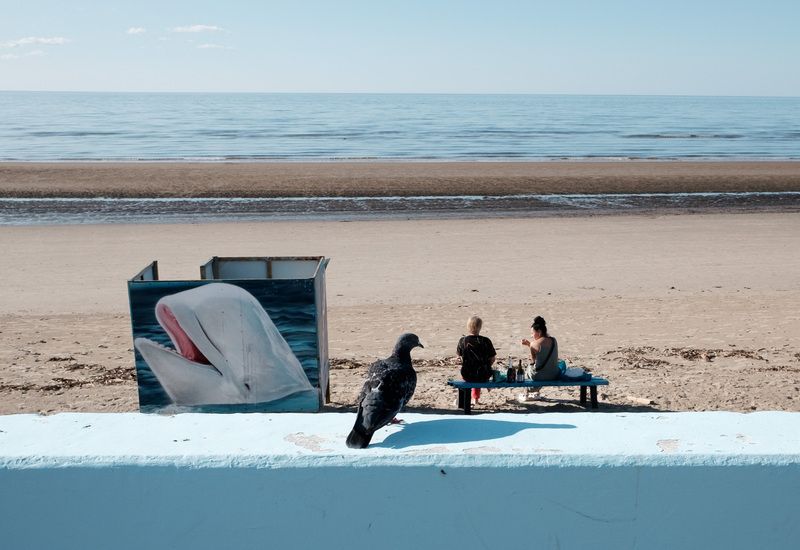 ягры, пляж, белое море, стрит, Голубь, белуха и две женщины на скамейкеphoto preview