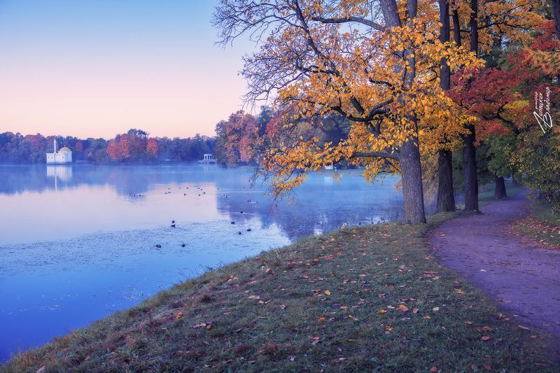 санкт-петербург, екатерининский парк, осень, утро По осенним паркам Санкт-Петербурга.photo preview