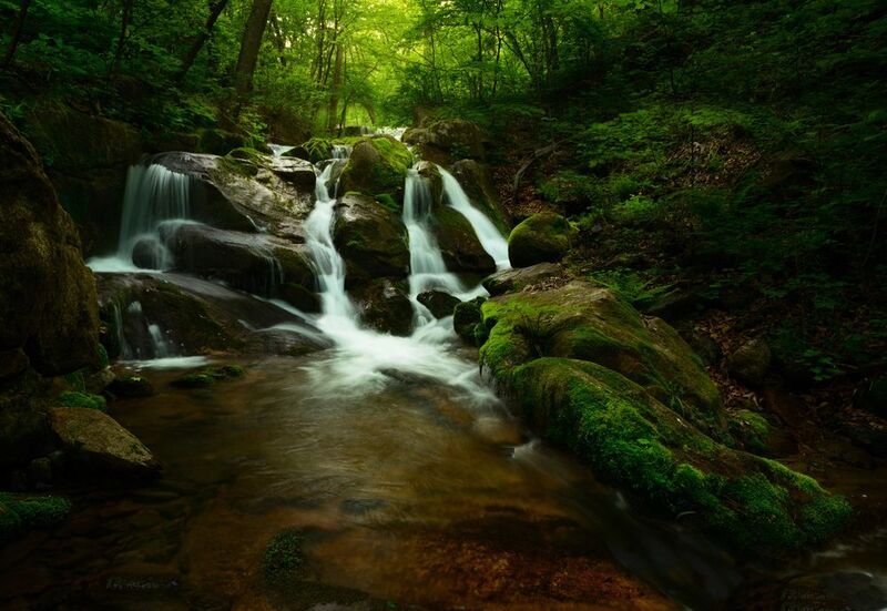 приморье Таёжная жемчужина.photo preview