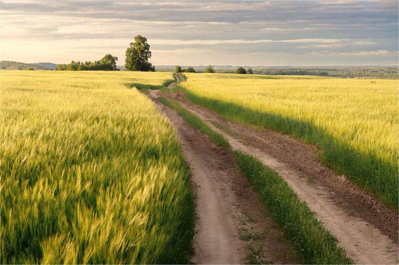 Вечернее полеphoto preview