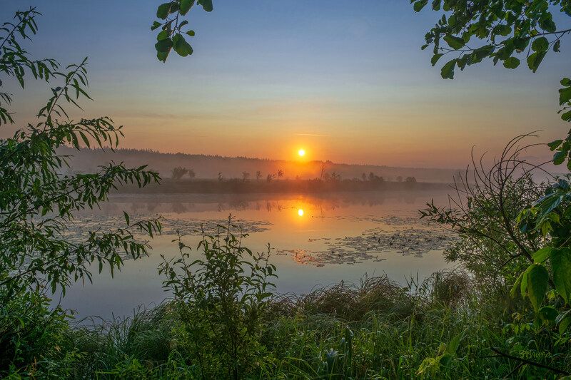 лето озеро рассвет туман природа пейзаж Лето. Рассвет.photo preview