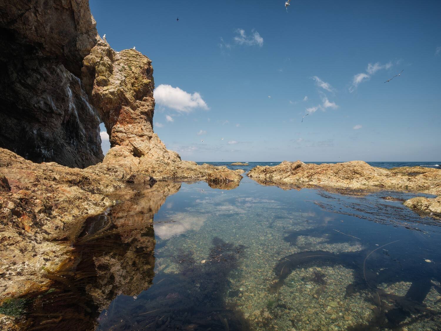 , Роман Чудинович