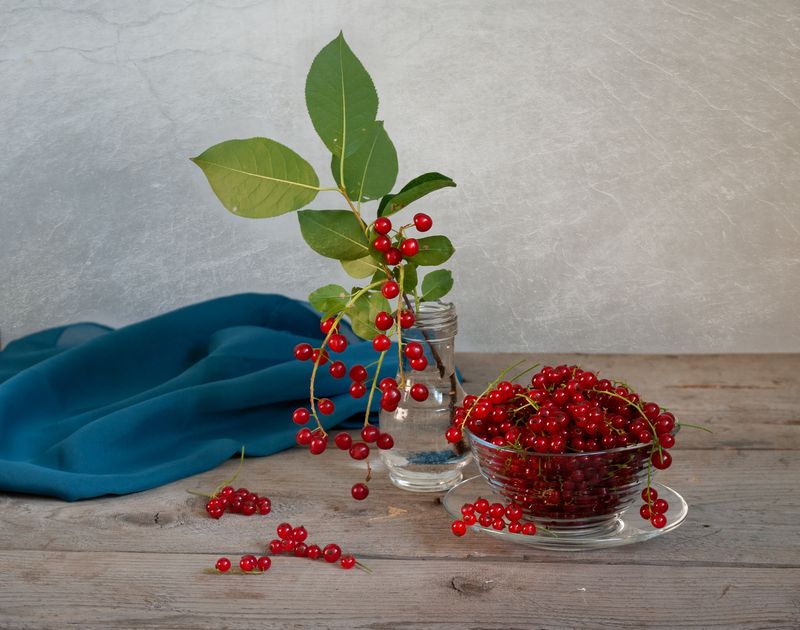 С красной черемухой и смородинойphoto preview