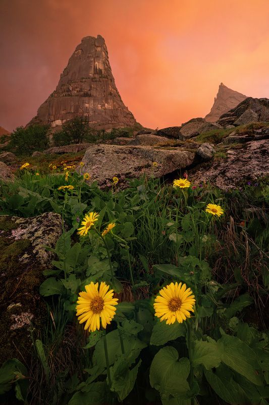 ергаки, саяны, пейзаж, красиво, лето, парабола, хайкинг, тревел, туризм У Параболы фото превью