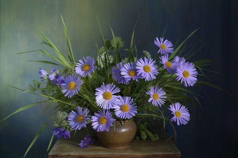натюрморт, цветы, вера павлухина, ромашки, вечерок, Ромашковый вечерокphoto preview