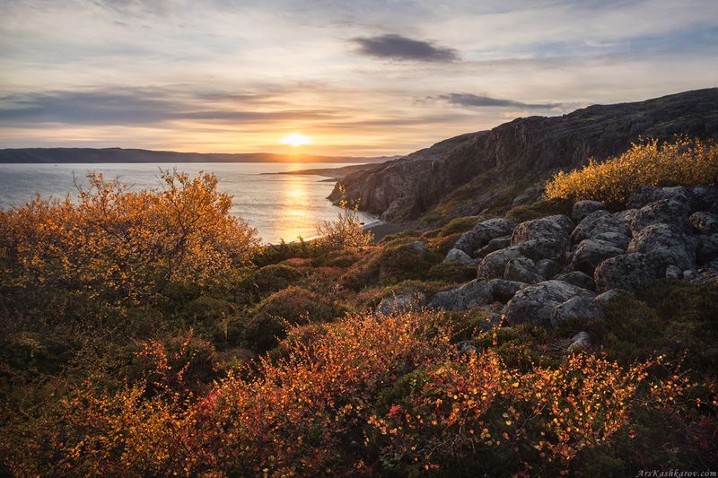 тундра, кольский, мурманская область, териберка, осень в тундре, арктика \