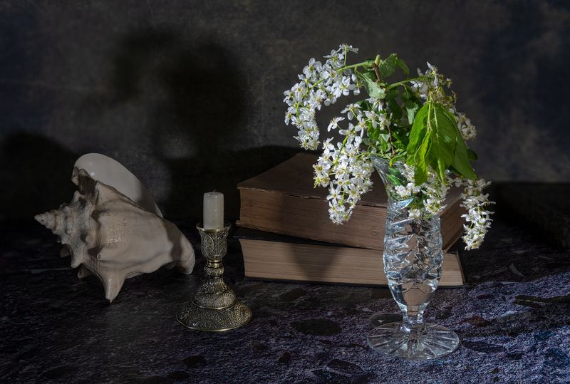 Этюд с черемухойphoto preview