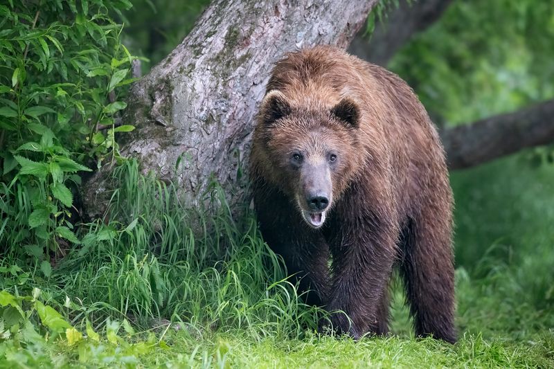 На Грани-2. Хопкинс не пробегал?photo preview