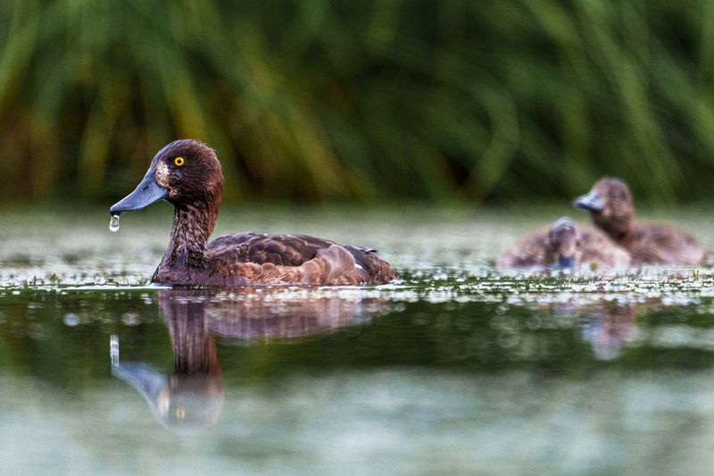 Насморкphoto preview