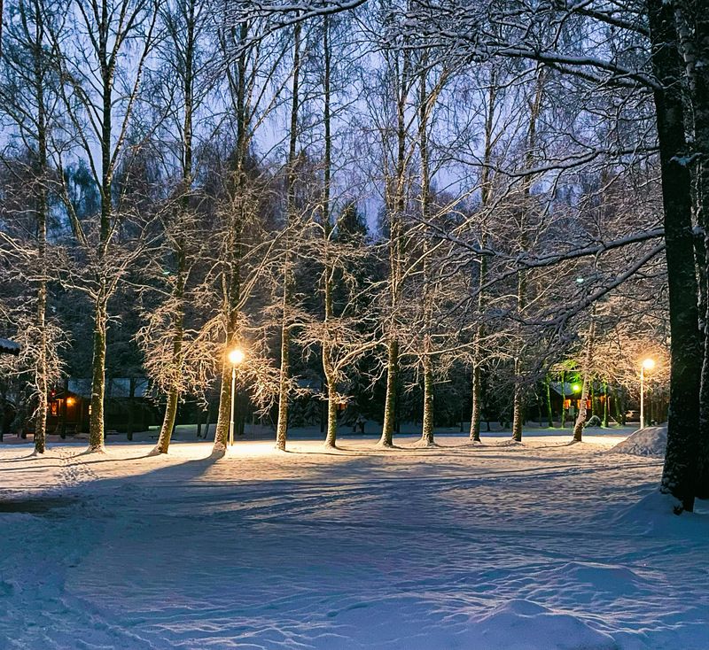 Зима в Пушкинский горахphoto preview