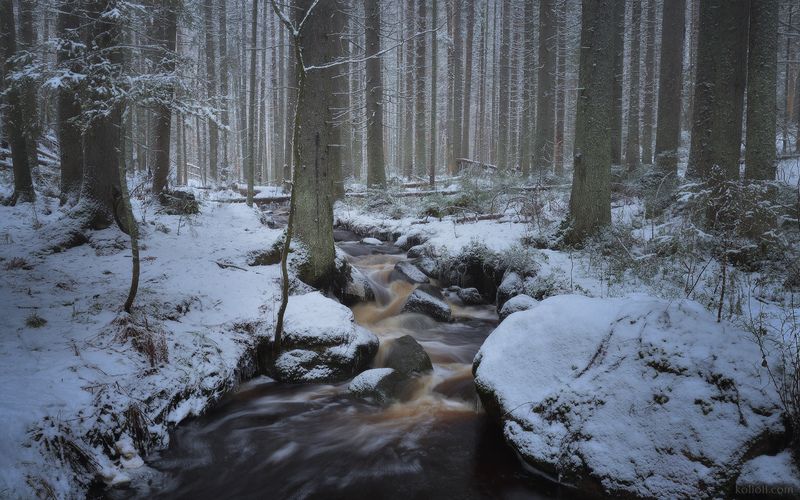 ленинградская область, лес, ручей, лёд, снег, сова, icm, мультикомпозиция Зима в Ленинградской областиphoto preview