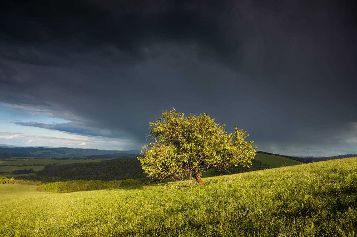 Автор: Mirosław Pruchnicki , Mirosław Pruchnicki