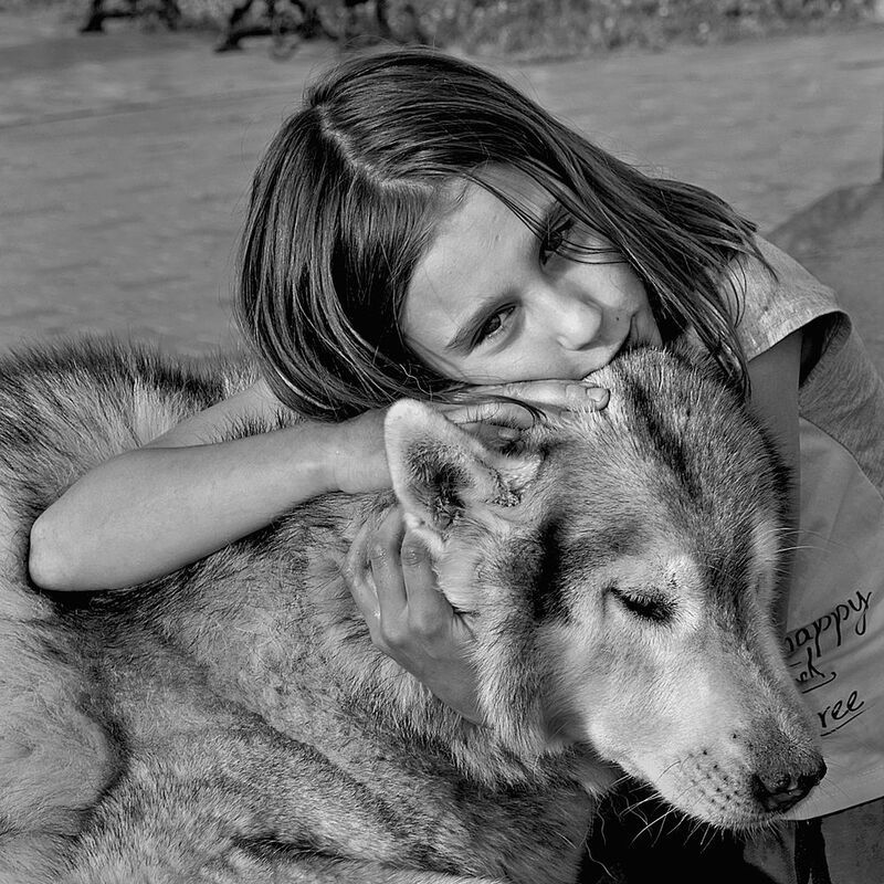 портрет, дети, чб, апатиты, собака Лохматый друг. 2025. фото превью