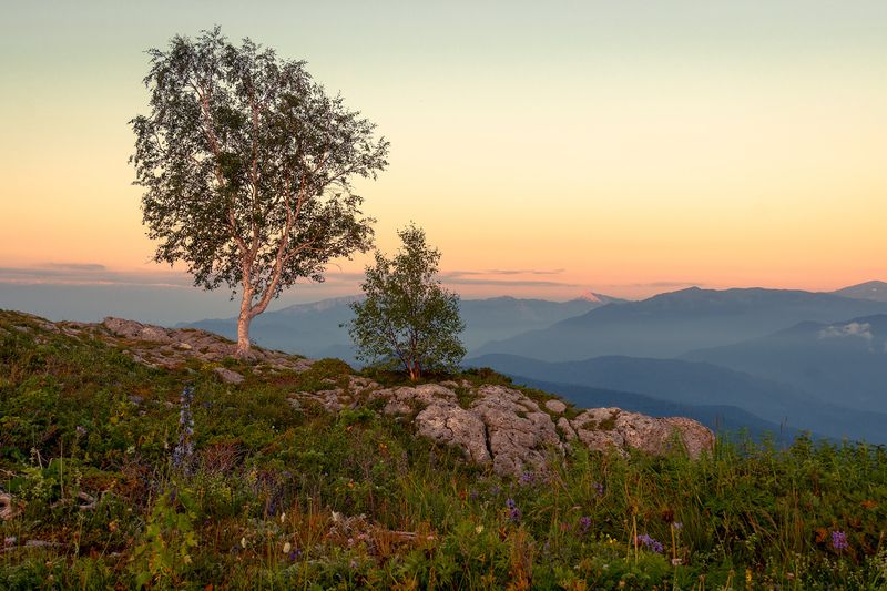 Друзьяphoto preview