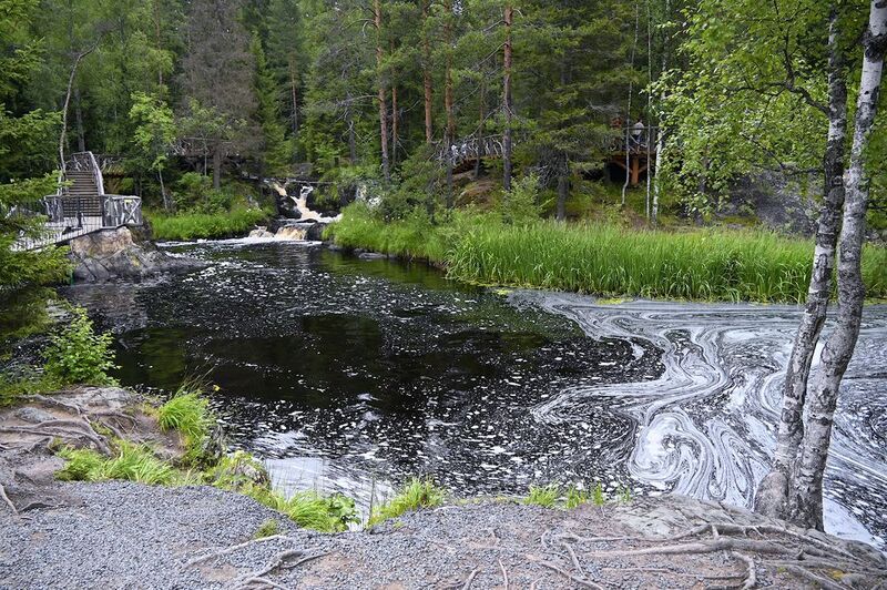 А зори здесь тихиеphoto preview