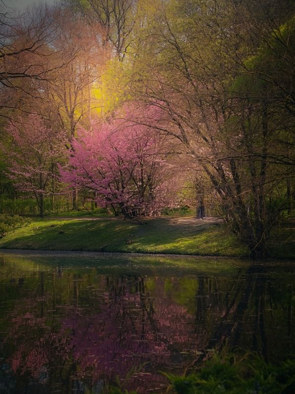 пейзаж, landscape, nature, природа, весна, spring, sunset ***photo preview