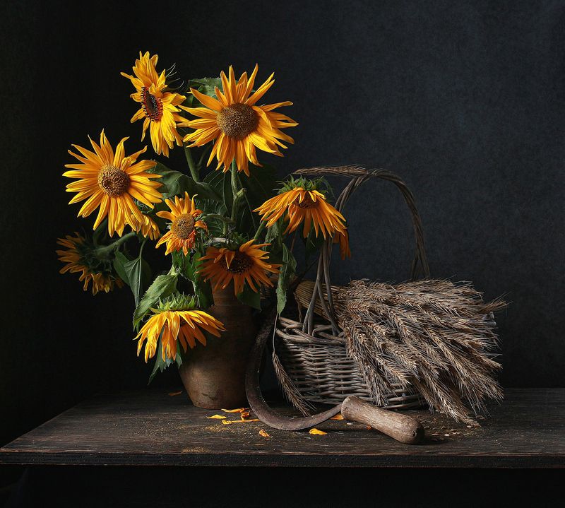 натюрморт, фотонатюрморт, still life, stillifefoto, лето, осень, подсолнухи, цветочный_натюрморт, серп, наталья_казанцева Предосеньphoto preview