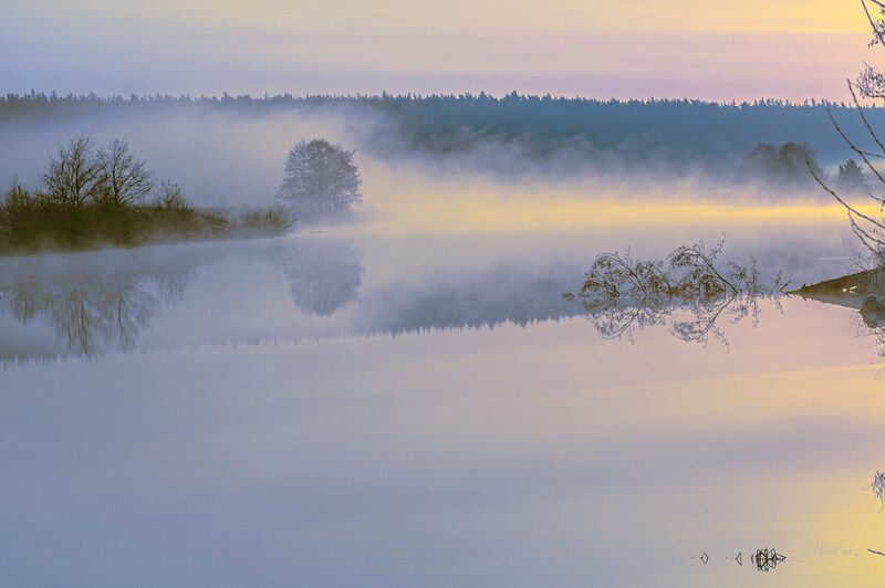 весна рассвет озеро туман природа пейзаж Весеннее утро.photo preview
