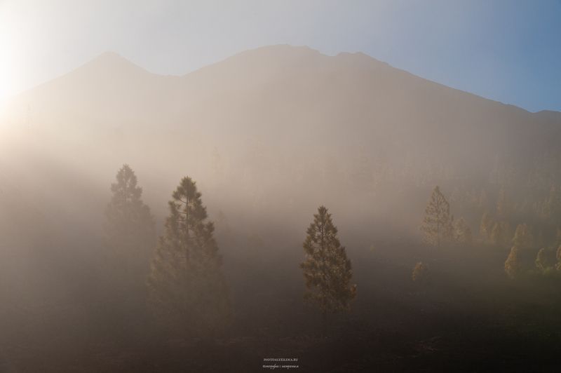 горы, рассвет, лучи, туман, вулкан, тейде, тенерифе, канары, испания, пейзаж Рассвет в кальдереphoto preview