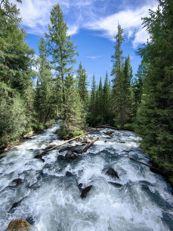 природа,алтай,лето,река тюнь Река Тюньphoto preview