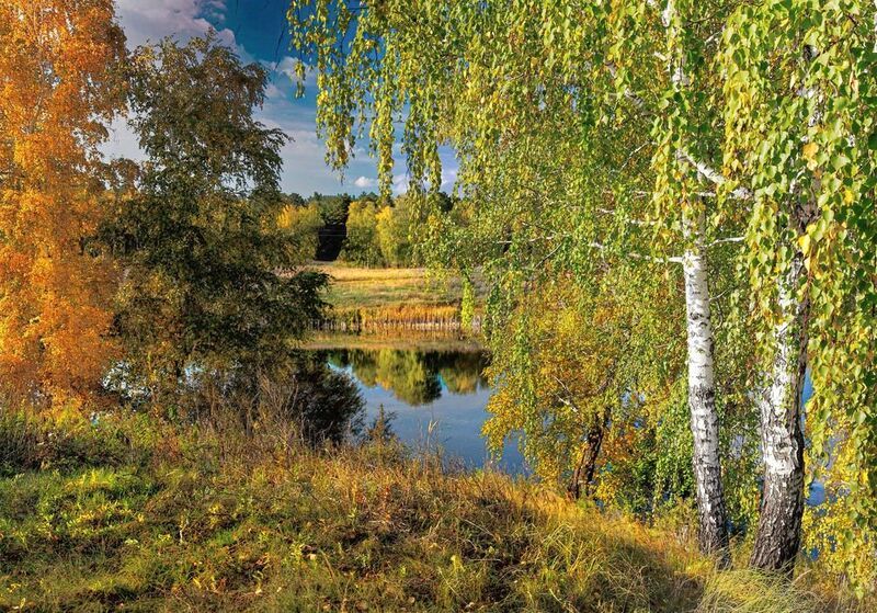 Зауралье фото превью