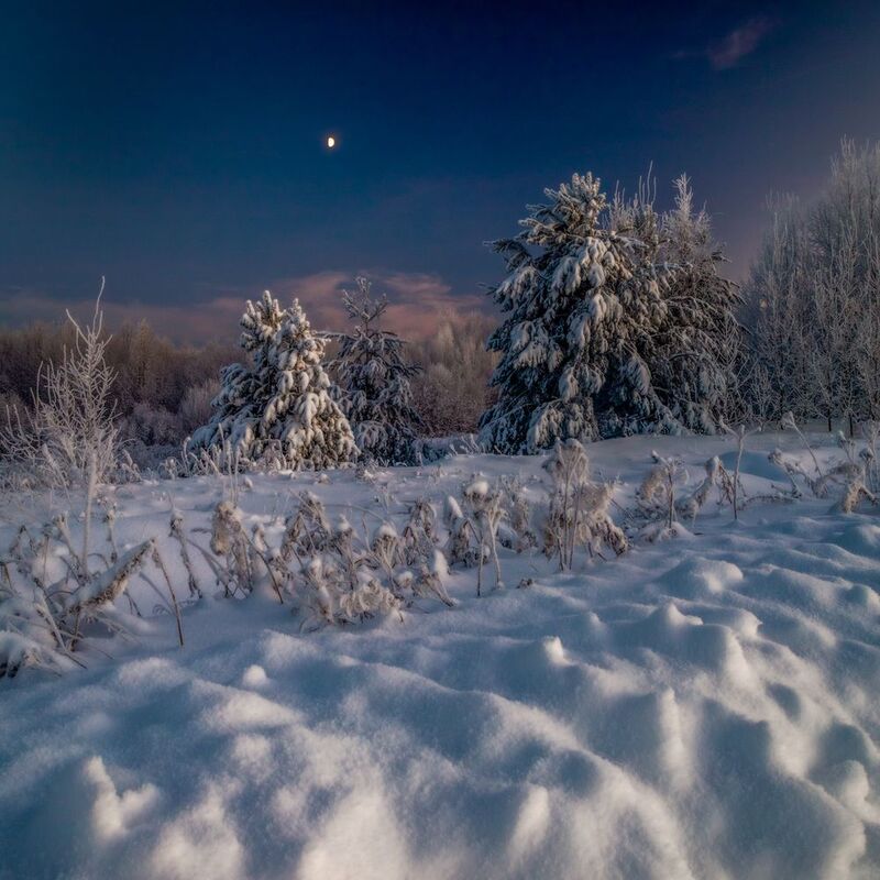 ночь, луна, зима, холод, Вятка, Киров, холодно, снег, небо, лес, ветки, поле, темно Зимняя ночьphoto preview