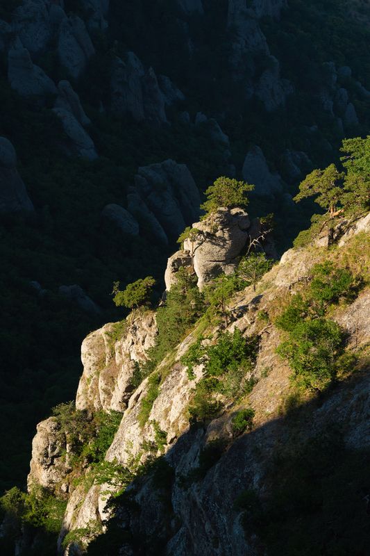 Свет утраphoto preview