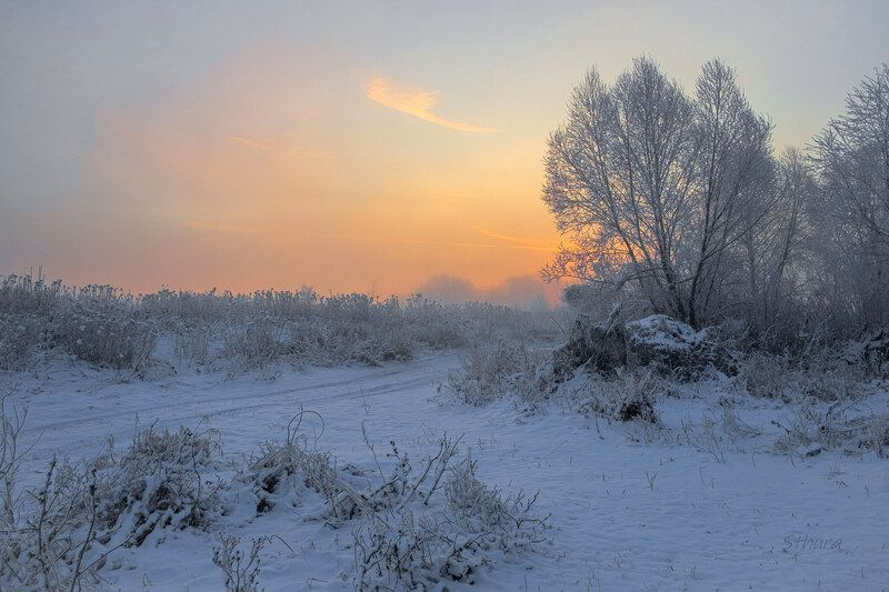 весна рассвет дорога снег природа пейзаж В марте.photo preview