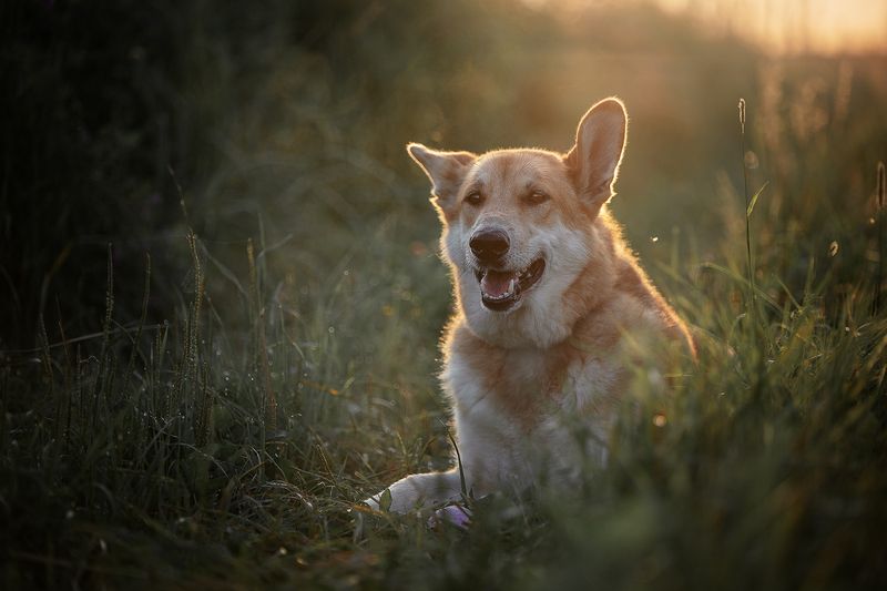 Наянphoto preview