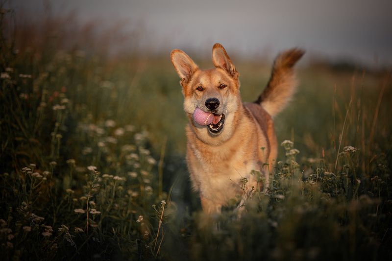 Наянphoto preview