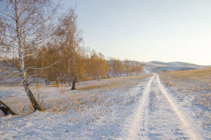 первый снег близ Кушеевоphoto preview