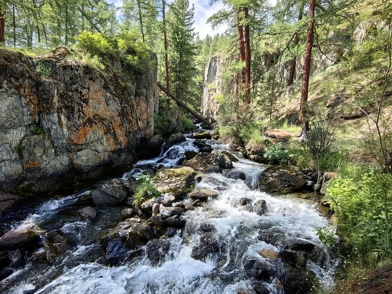 природа,алтай,река,скалы,деревья, Мощь дикой природыphoto preview