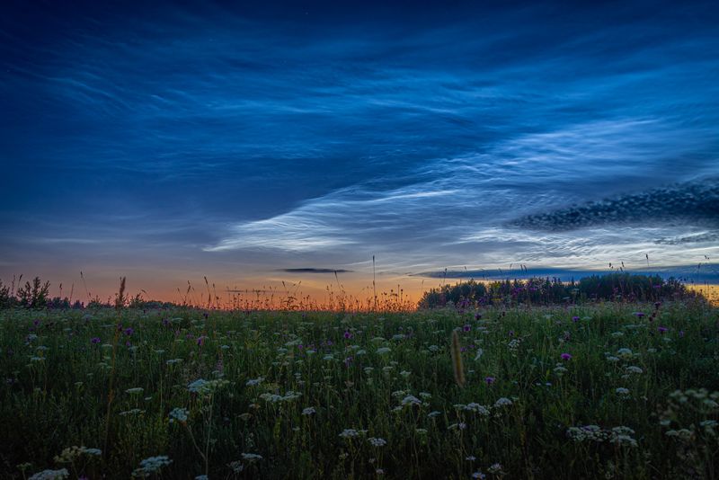 Под сенью серебристых облаков фото превью