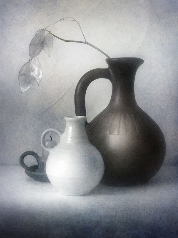 натюрморт, лунария, кувшин, пикториализм С лунарией.photo preview