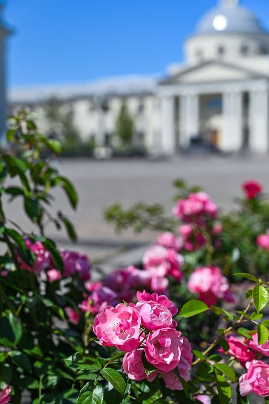 На площадиphoto preview