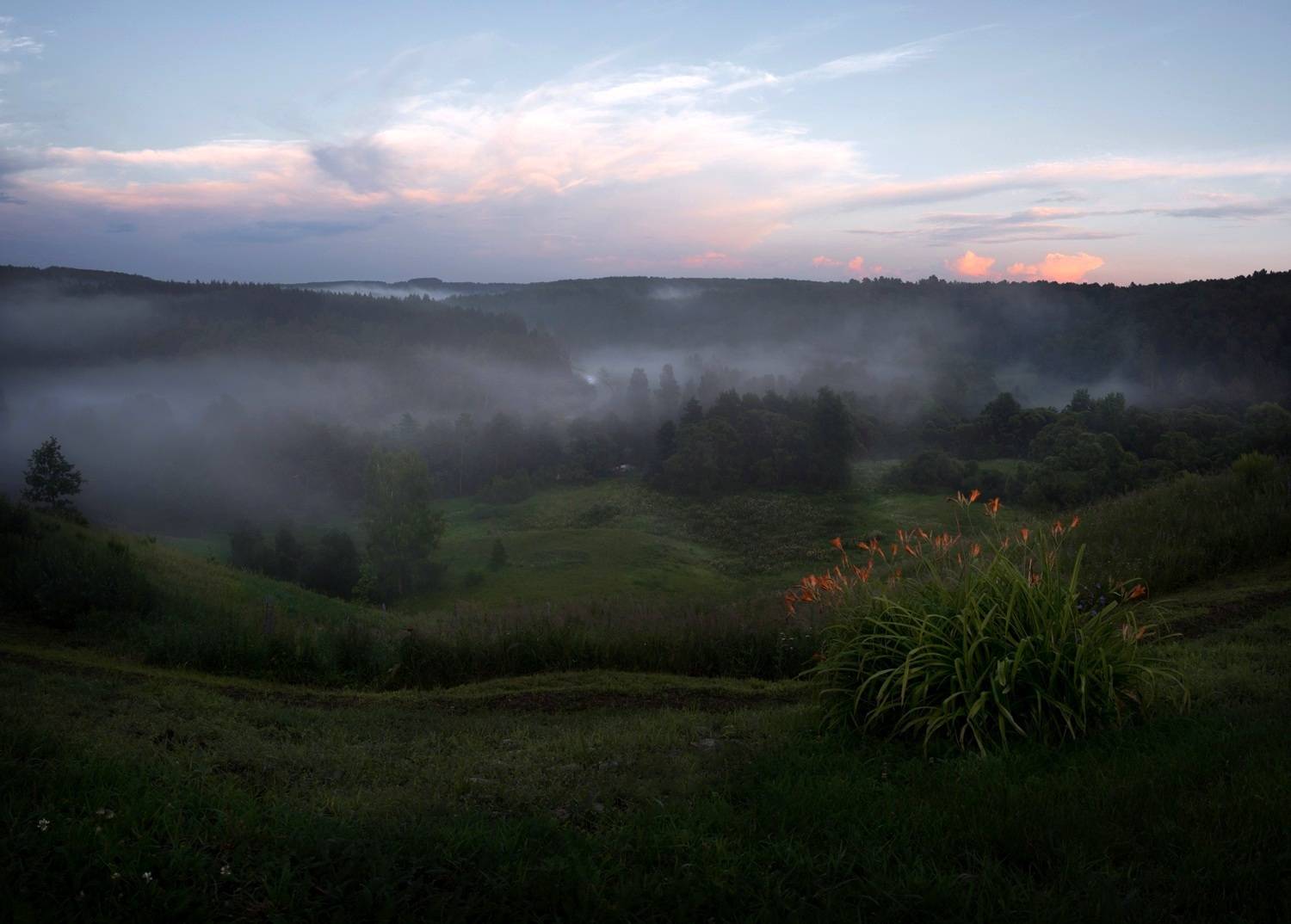 с. Сенево, Тульская обл.. Автор: Баранов Олег туман, свет, вечер, природа, Баранов Олег