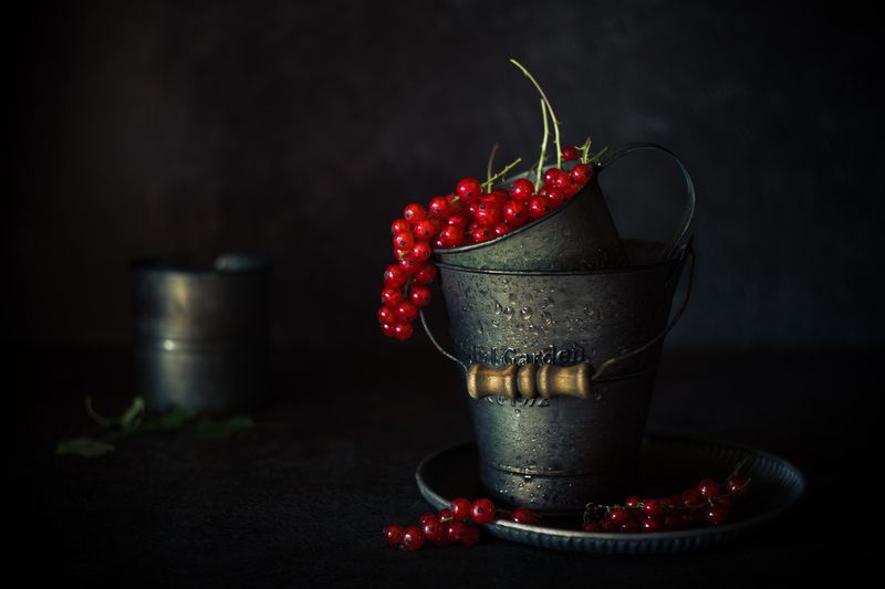 лето, смородина, красная смородина, натюрморт ***photo preview