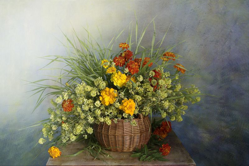 натюрморт, цветы, вера павлухина,бархатцы, Солнечные бархатцыphoto preview