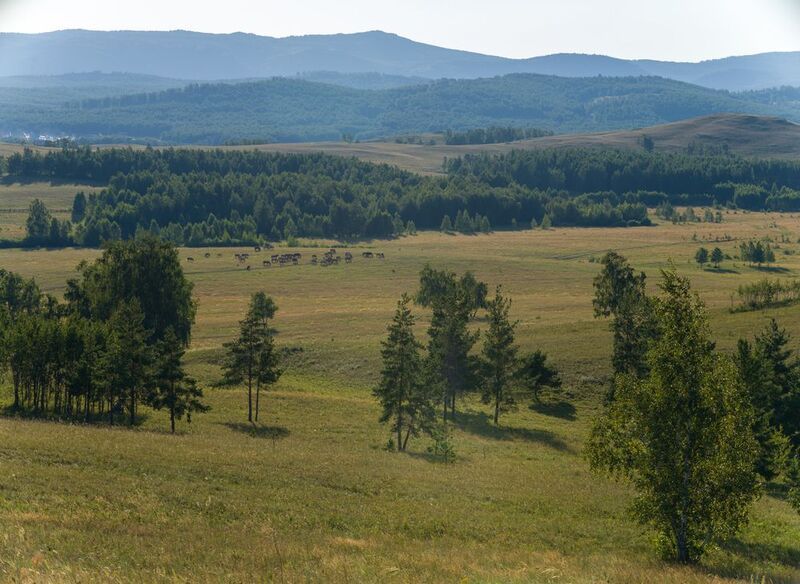 в горах Аскаровоphoto preview