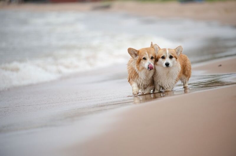 На Ладоге неспокойно)photo preview