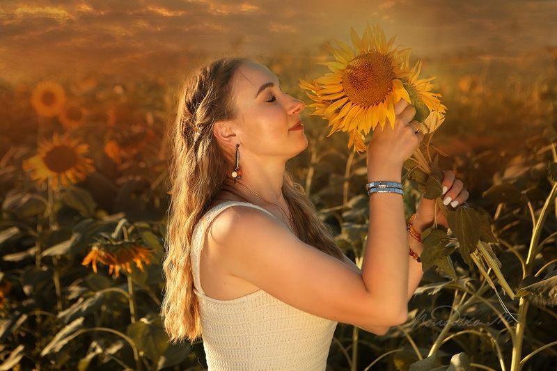 Время подсолнуховphoto preview