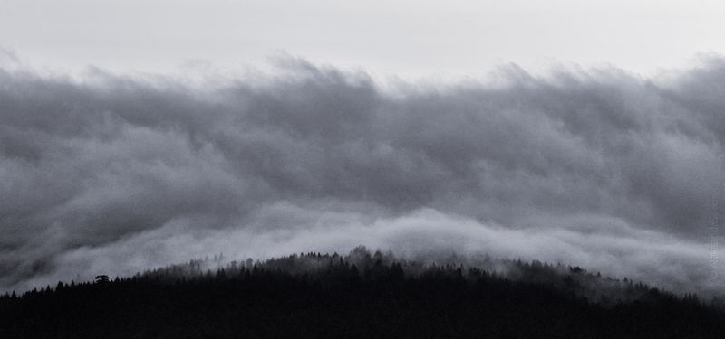 Пух и прахphoto preview