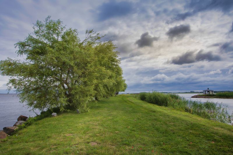 псковская область,псковское озеро у озераphoto preview