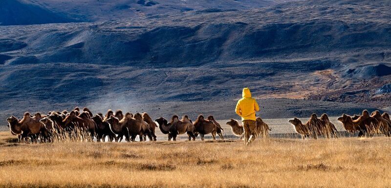 На прогулкеphoto preview