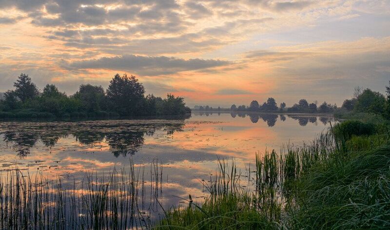 летний рассвет. Летний рассвет.photo preview