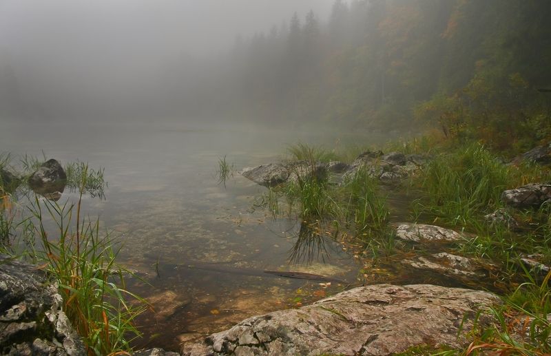 осенью на болотахphoto preview