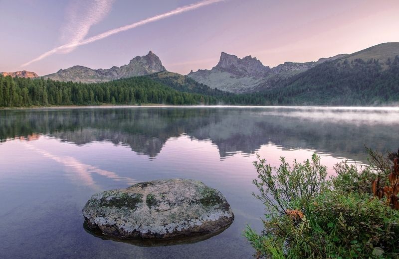 сиреневые пикиphoto preview