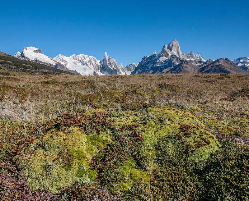 Альпийские луга в Патагонии фото превью