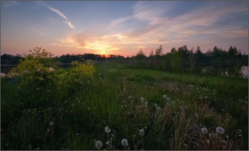 вальс одуванчиков...photo preview
