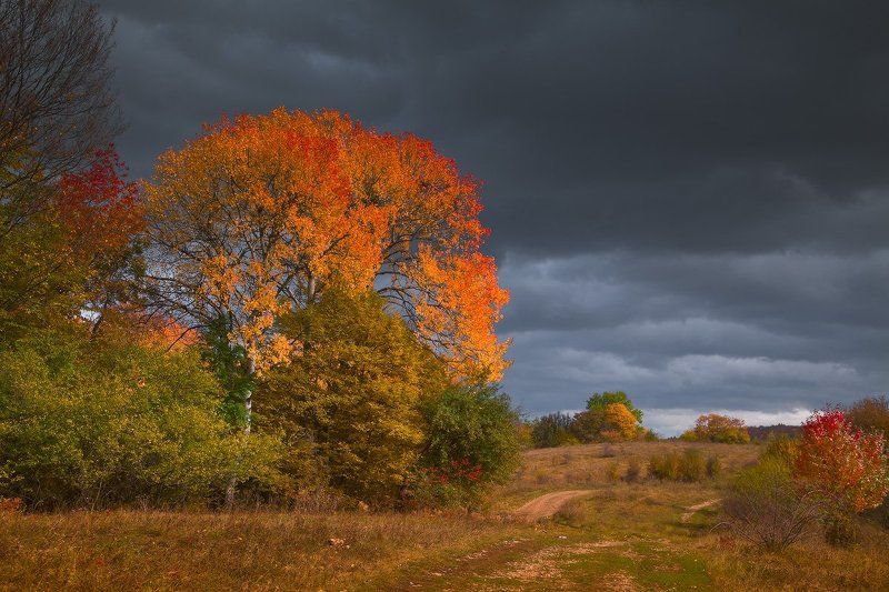 Осень Мезмай Забытая осеньphoto preview